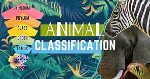Animal Types || Animal Classification || Animal Groups 🌎🐘🦩🐠🐍🦎🐌