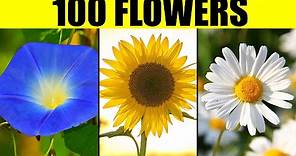 FLOWERS of the World - Names of 100 Different Types of Flowers