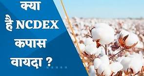 What is NCDEX's cotton futures ? What is its importance?