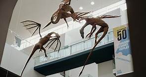 Ulster Museum | Art Galleries, Arts and Entertainment, Attractions, Family Activites, Indoor attractions, Museums, See & Do Featured | Visit Belfast