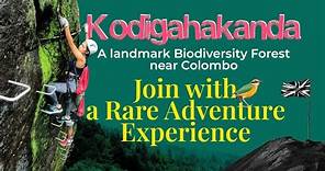 Kodigahakanda | Join with a Rare Adventure Experience | Ceylon Today