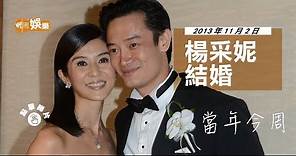 【當年今周】2013年11月2日 楊采妮邱韶智復合 於新加坡舉行婚禮