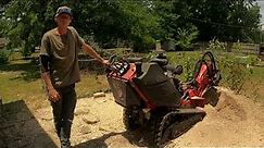 Pros & Cons Of Renting A Stump Grinder As A Tree Removal Contractor