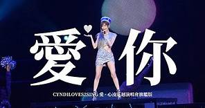 王心凌 Cyndi Wang《愛你 Ai Ni》(CYNDILOVES2SING愛．心凌巡迴演唱會旗艦版 演唱會版本) Unofficial Live Music Video