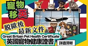 【英國寵物健康證書】10分鐘學識點填 + 詳細解釋每一個需要注意事項 ｜ 每一個重點都唔可以走漏眼！ ！ 香港人移民資訊BB班