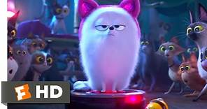 The Secret Life of Pets 2 - Dog vs. Cats Scene (5/10) | Movieclips