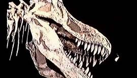 The Infinite Voyage - The Great Dinosaur Hunt, TV documentary 1988