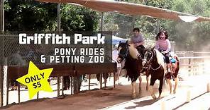 Griffith Park Pony Rides & Petting Zoo $5 Pony Rides! | Los Angeles, California