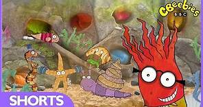 CBeebies: Old Jack's Boat Rockpool Tales - Theme Song