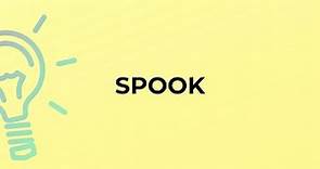 What is the meaning of the word SPOOK?
