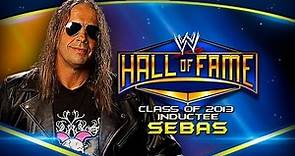Bret Hart WWE Hall of Fame 2013 promo