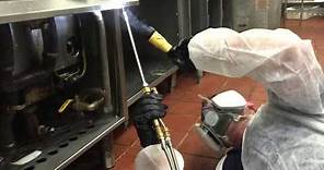 New York City Restaurant Roach Extermination Service