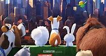 The Secret Life of Pets streaming: watch online