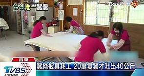 台灣僅存養蠶達人 純蠶絲被一斤7千塊