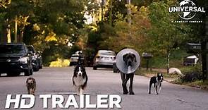Strays | Official Trailer