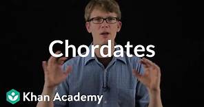Chordates | Crash Course biology | Khan Academy