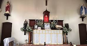 Live Traditional Latin Nuptial Mass Friday 19 Nov 2021 @St Anne’s - Dennis de Brito & Kathleen Liew