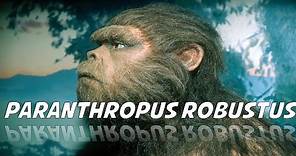 Paranthropus robustus