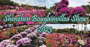2023 Shenzhen Bougainvillea Show Lianhuashan Park - Hundreds of Beautiful Flowers in Themed Gardens