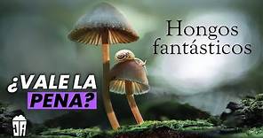 Reseña HONGOS FANTASTICOS (Fantastic Fungi) | ¿Vale La Pena?