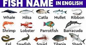 fish vocabulary | fish names in english with pictures | Sea Fishes and Pond Fishes