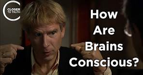 Christof Koch - How are Brains Conscious?
