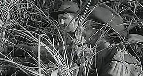 1961-Emboscada En La Jungla[VOSE]Subt.Pegados
