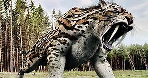 Saber Tooth Tiger Prehistoric Predator Full Documentary
