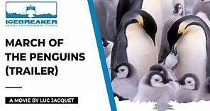 March Of The Penguins, a movie narrated by Morgan Freeman and directed by Luc Jacquet (trailer)
