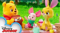Playdate with Winnie the Pooh | Piglet, Rabbit and the Picnic | Episode 13 |@disneyjunior