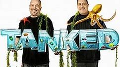 Tanked: Fish Out of Water