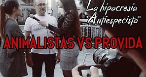 ANIMALISTAS vs PROVIDA