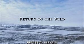 Documental Return to the Wild - Subtitulado al español