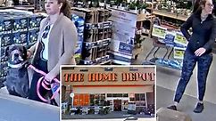 Colorado Home Depot customer gets attacked by dog in the face, owner flees store