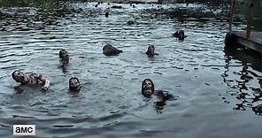 The Walking Dead Midseason Finale: Zombie Pond Official Teaser