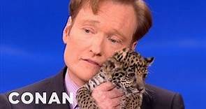 Animal Expert David Mizejewski: Baby Jaguars & Binturong | CONAN on TBS