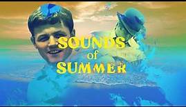 The Beach Boys – Sounds Of Summer: The Very Best Of The Beach Boys