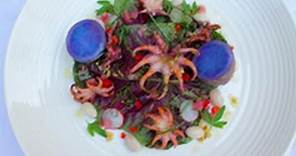 grilled baby octopus with spring salad recipe