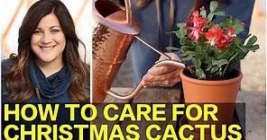 How to Care for Christmas Cactus 🌵🎄 // Garden Answer