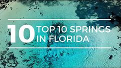 TOP 10 SPRINGS in FLORIDA | Best Florida Springs | Florida Springs | Ginnie Springs