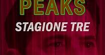I segreti di Twin Peaks Stagione 3 - streaming online