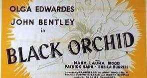 Black Orchid (1953) (British crime b-movie with Ronald Howard & Olga Edwardes)