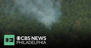 Wharton State Forest County Line Wildfire in South Jersey is 100% contained
