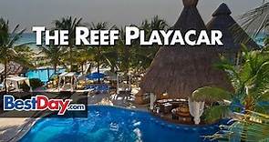 The Reef Playacar