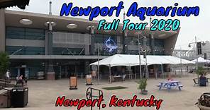 Newport Aquarium Full Tour - Newport, Kentucky