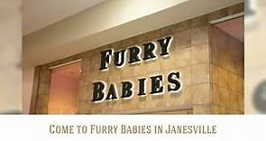 We bet the special father in... - Furry Babies Janesville