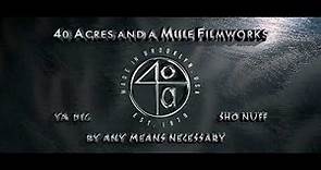 40 Acres and a Mule FilmWorks (2006)