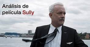 Sully: Análisis y toma de decisiones