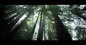 Big Sur Movie - Official Trailer