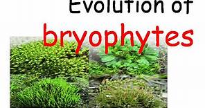 Plant evolution | bryophytes evolution